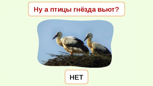 Ну а птицы гнёзда вьют? НЕТ 