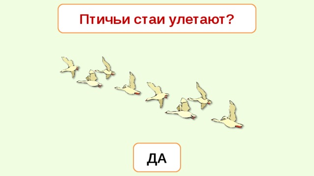 Птичьи стаи улетают? ДА 