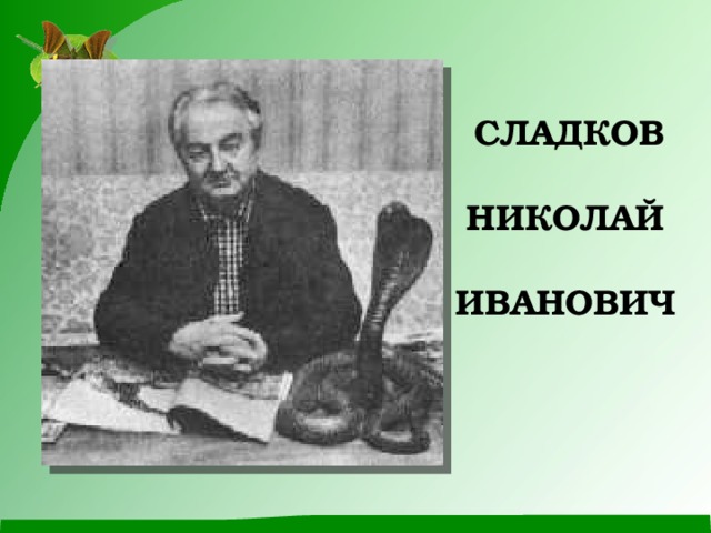 Презентация сладков без слов 1 класс