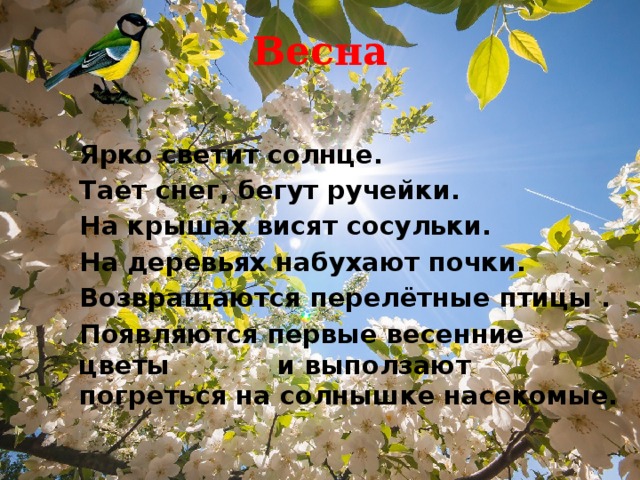 Предложения про весну. Предложения о весне. Весной возвращаются перелётные птицы набухают почки весной. Предложения о весне 1 класс. Презентация о птицах, солнце и весне.