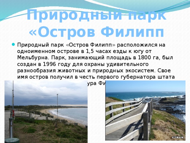 Природный парк «Остров Филипп Природный парк «Остров Филипп» расположился на одноименном острове в 1,5 часах езды к югу от Мельбурна. Парк, занимающий площадь в 1800 га, был создан в 1996 году для охраны удивительного разнообразия животных и природных экосистем. Свое имя остров получил в честь первого губернатора штата Новый Южный Уэльс Артура Филиппа. 
