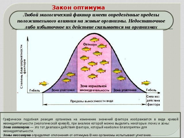 Закон размер. Закон оптимума пессимума. Зона оптимума экологического фактора. Зона оптимума зона пессимума. Зоны оптимума и пессимума в экологии.