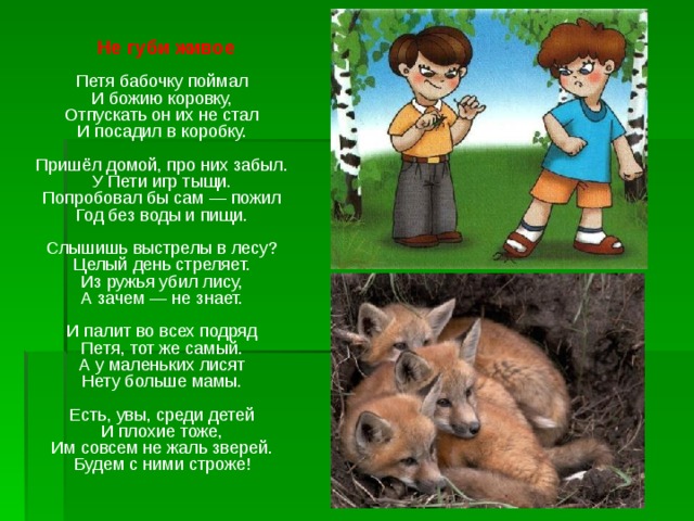  Не губи живое   Петя бабочку поймал  И божию коровку,  Отпускать он их не стал  И посадил в коробку.   Пришёл домой, про них забыл.  У Пети игр тыщи.  Попробовал бы сам — пожил  Год без воды и пищи.   Слышишь выстрелы в лесу?  Целый день стреляет.  Из ружья убил лису,  А зачем — не знает.   И палит во всех подряд  Петя, тот же самый.  А у маленьких лисят  Нету больше мамы.   Есть, увы, среди детей  И плохие тоже,  Им совсем не жаль зверей.  Будем с ними строже!    