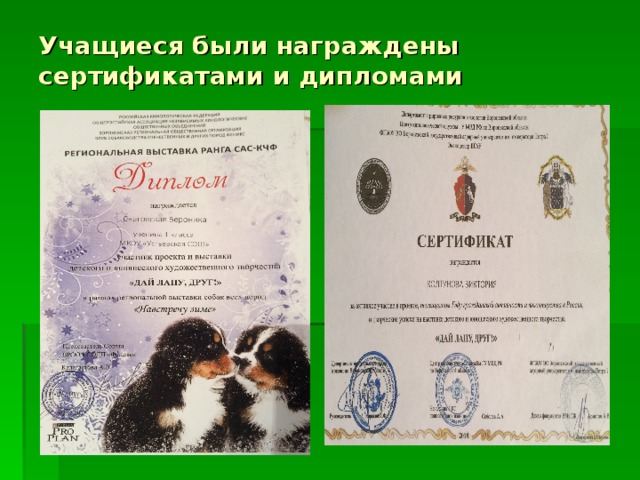 Учащиеся были награждены сертификатами и дипломами 