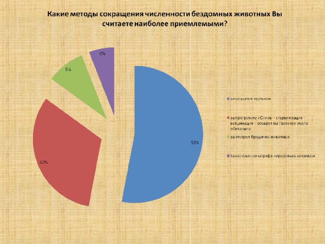 Анкетирование по проекту бездомные животные