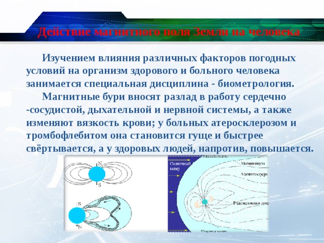Действие магнитного поля Земли на человека  Изучением влияния различных факторов погодных условий на организм здорового и больного человека занимается специальная дисциплина - биометрология.  Магнитные бури вносят разлад в работу сердечно -сосудистой, дыхательной и нервной системы, а также изменяют вязкость крови; у больных атеросклерозом и тромбофлебитом она становится гуще и быстрее свёртывается, а у здоровых людей, напротив, повышается.