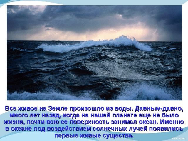 Все живое на Земле произошло из воды. Давным-давно, много лет назад, когда на нашей планете еще не было жизни, почти всю ее поверхность занимал океан. Именно в океане под воздействием солнечных лучей появились первые живые существа. 