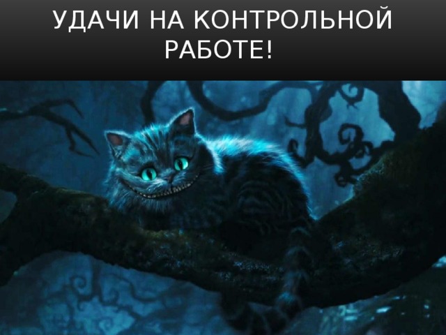 Как вызвать чеширского кота в домашних условиях