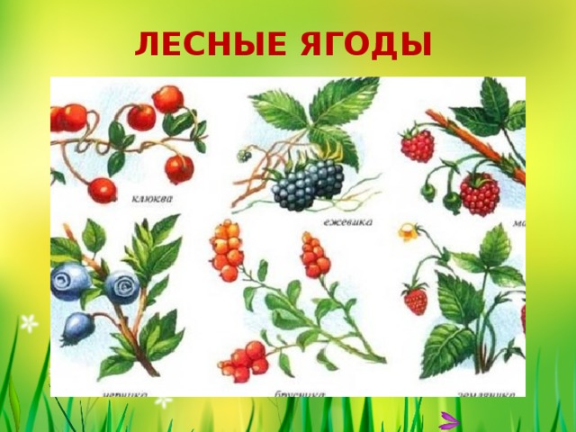 РАДУГА ИДЕЙ ДЛЯ ДЕТЕЙ - ОКРУЖАЮЩИЙ МИР/ ДИДАКТИЧЕСКИЕ ИГРЫ OK.RU Russian languag