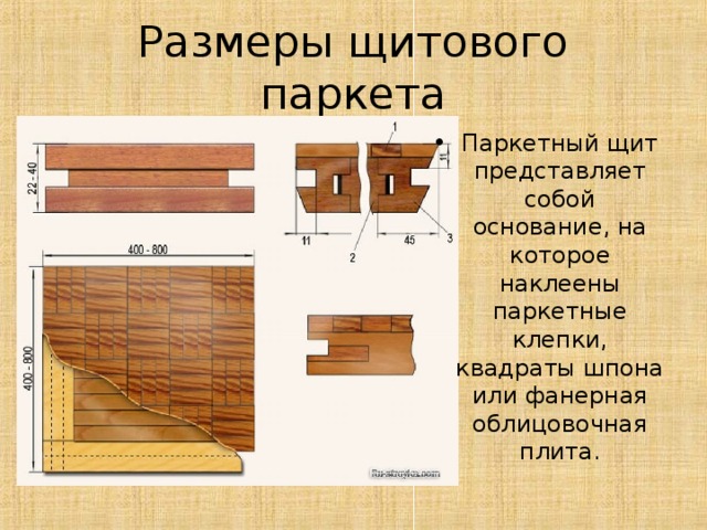 Размеры щитового паркета Паркетный щит представляет собой основание, на которое наклеены паркетные клепки, квадраты шпона или фанерная облицовочная плита. 