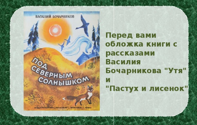 Перед вами обложка книги с рассказами Василия Бочарникова 