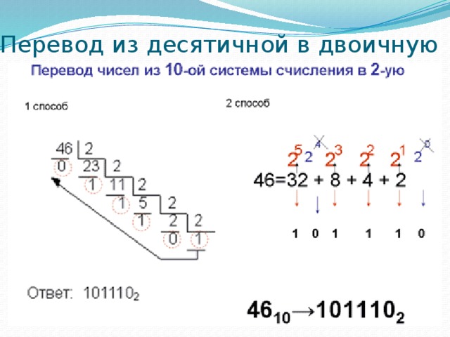 Блок схема перевода из десятичной в двоичную