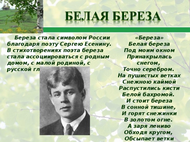 Береза стала символом России благодаря поэту Сергею Есенину. В стихотворениях поэта береза стала ассоциироваться с родным домом, с малой родиной, с русской глубинкой. «Береза» Белая береза Под моим окном Принакрылась снегом, Точно серебром. На пушистых ветках Снежною каймой Распустились кисти Белой бахромой. И стоит береза В сонной тишине, И горят снежинки В золотом огне. А заря лениво Обходя кругом, Обсыпает ветки Новым серебром. 