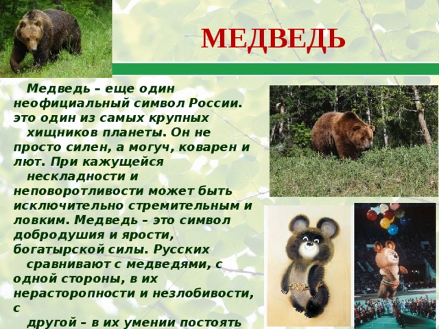 МЕДВЕДЬ Медведь – еще один неофициальный символ России. это один из самых крупных хищников планеты. Он не просто силен, а могуч, коварен и лют. При кажущейся нескладности и неповоротливости может быть исключительно стремительным и ловким. Медведь – это символ добродушия и ярости, богатырской силы. Русских сравнивают с медведями, с одной стороны, в их нерасторопности и незлобивости, с другой – в их умении постоять за себя. Недаром именно медведя выбрали символом Олимпиады, проходившей в Москве в 1980 году. 