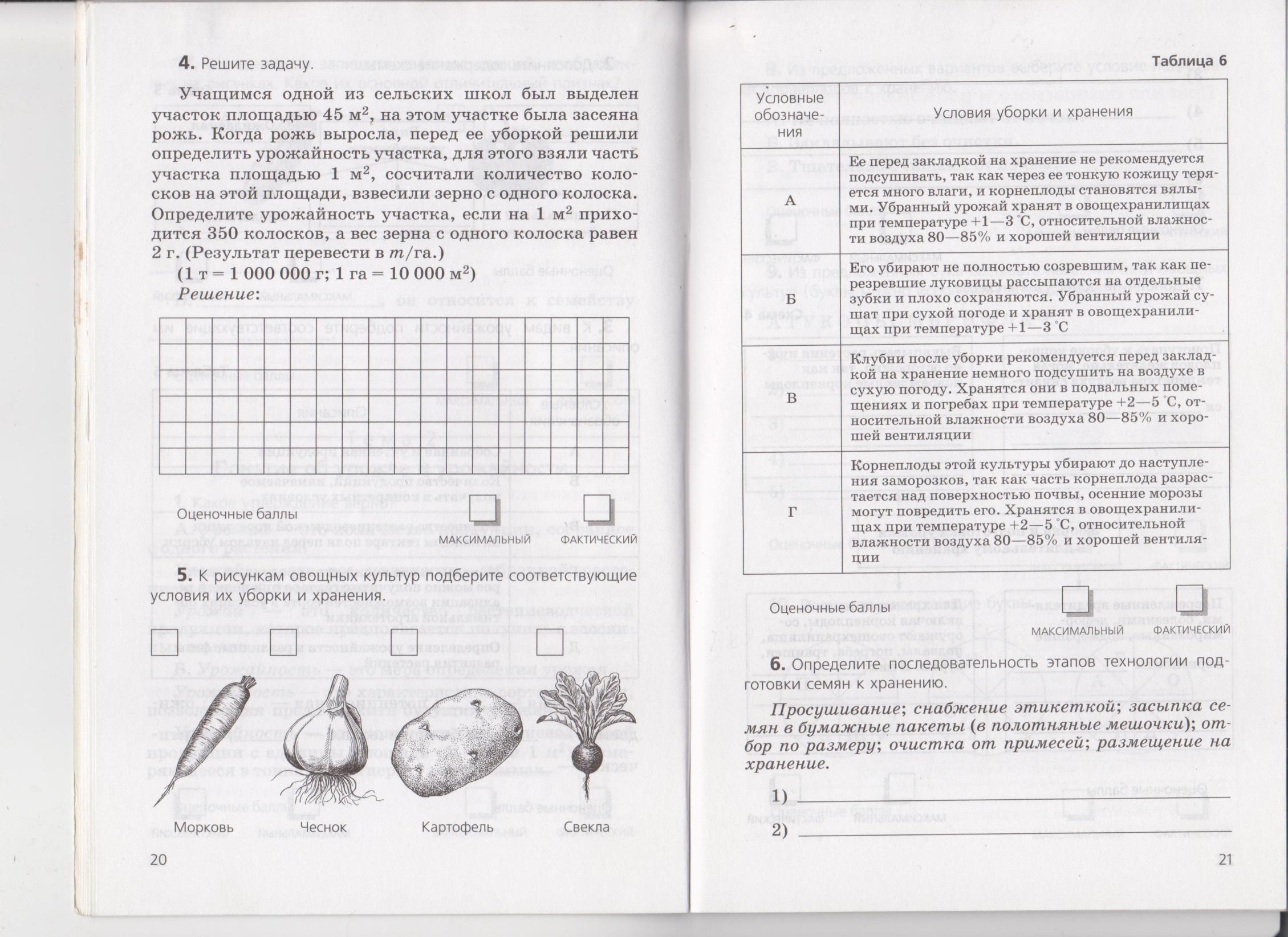 Практическая работа пятый класс. Рабочая тетрадь 8 вид 5 класс сельхоз труд. Задания по сельскохозяйственному труду. Задание проверочная работа по труду. Технология. Сельскохозяйственный труд.