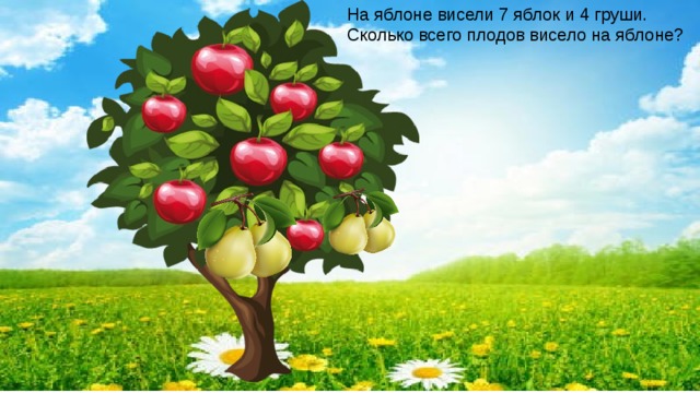 На яблоне висели 7 яблок и 4 груши. Сколько всего плодов висело на яблоне?   