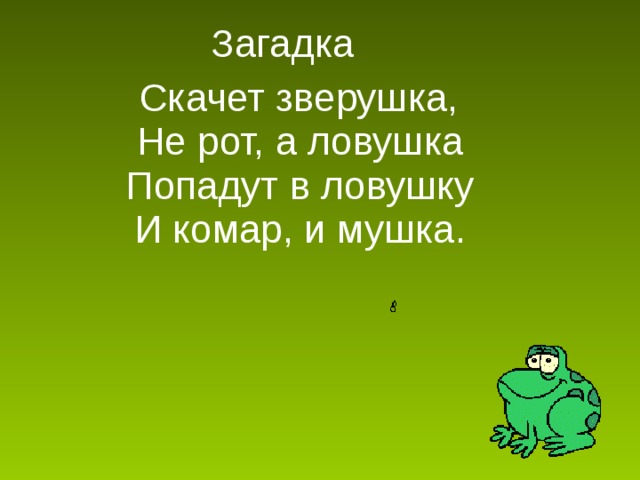 Загадка  Скачет зверушка,  Не рот, а ловушка  Попадут в ловушку  И комар, и мушка. 