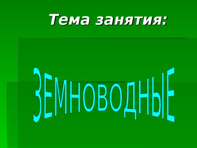 Тема занятия:   