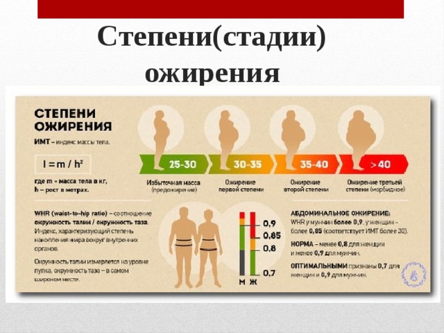 Степени(стадии) ожирения 