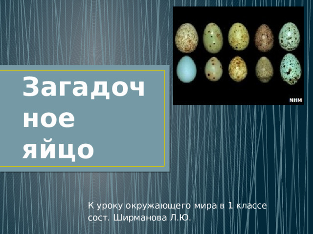 Загадочное яйцо К уроку окружающего мира в 1 классе сост. Ширманова Л.Ю. 