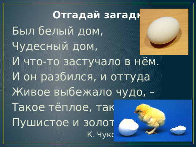 Отгадай загадку Был белый дом, Чудесный дом, И что-то застучало в нём. И он разбился, и оттуда Живое выбежало чудо, – Такое тёплое, такое Пушистое и золотое.  К. Чуковский 