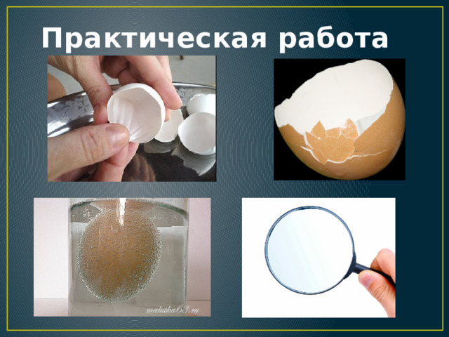 Практическая работа 