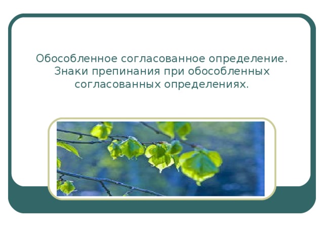 Обособленное согласованное определение.  Знаки препинания при обособленных  согласованных определениях. 