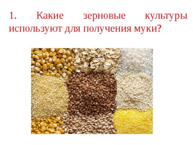 1. Какие зерновые культуры используют для получения муки? 