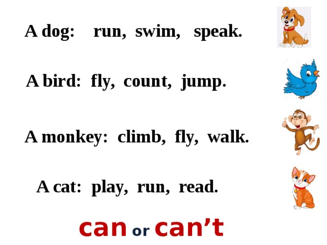 A dog: run, swim, speak. A bird: fly, count, jump. A monkey: climb, fly, walk. A cat: play, run, read. can  or  can’t 