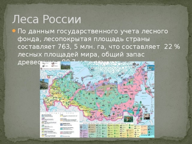 Характеристика тайги 8 класс география. Площадь лесов в России. Лесные территории России. Леса на территории России. Площадь леса в России по годам.