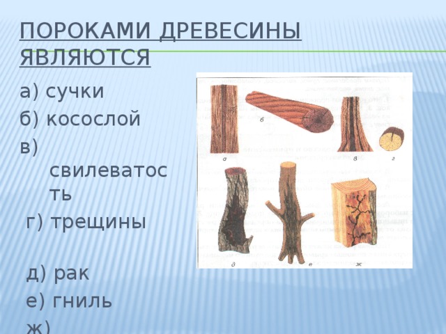 Пороками древесины являются а) сучки б) косослой в) свилеватость  г) трещины  д) рак  е) гниль  ж) червоточина 