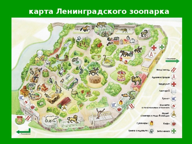 карта Ленинградского зоопарка 