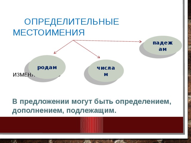 Урок 6 класс определительные местоимения презентация 6 класс