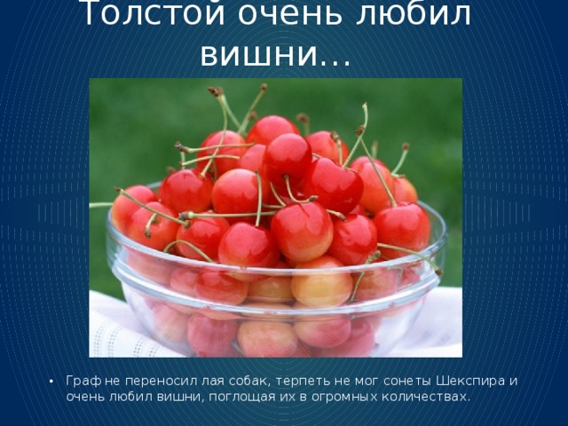 Толстой очень любил вишни… Граф не переносил лая собак, терпеть не мог сонеты Шекспира и очень любил вишни, поглощая их в огромных количествах. 