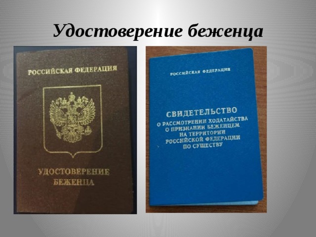 Документ удостоверяющий статус. Документ беженца в России.