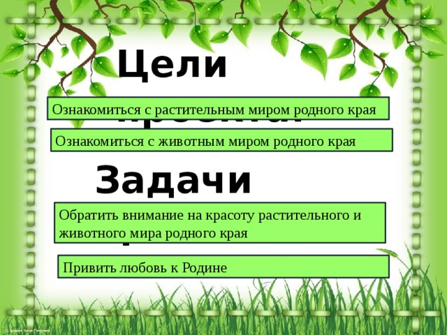 Проект родная природа 3 класс. Цель проекта разнообразие природы родного края. Проект родного края окружающий мир.