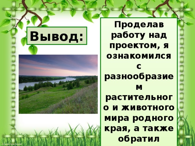 Проект разнообразие природы родного края 3 класс по окружающему миру самарская область