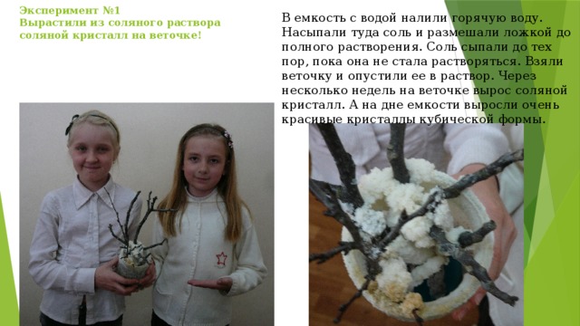 Эксперимент №1  Вырастили из соляного раствора соляной кристалл на веточке!   В емкость с водой налили горячую воду. Насыпали туда соль и размешали ложкой до полного растворения. Соль сыпали до тех пор, пока она не стала растворяться. Взяли веточку и опустили ее в раствор. Через несколько недель на веточке вырос соляной кристалл. А на дне емкости выросли очень красивые кристаллы кубической формы. 