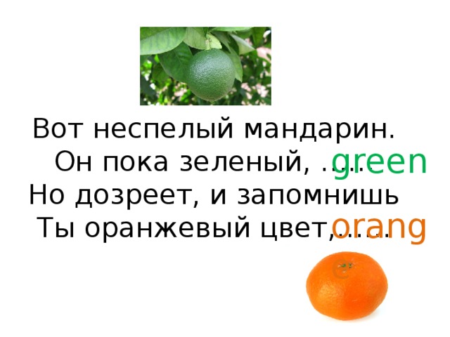 Вот неспелый мандарин.  Он пока зеленый, ……  Но дозреет, и запомнишь  Ты оранжевый цвет,……   green orange 