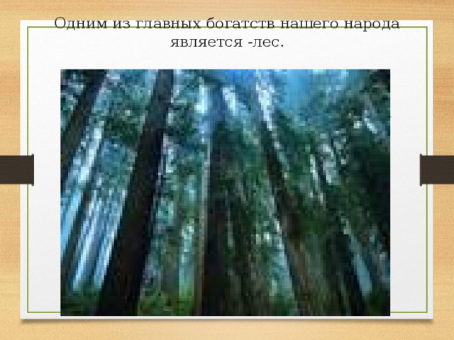 Одним из главных богатств нашего народа является -лес .  