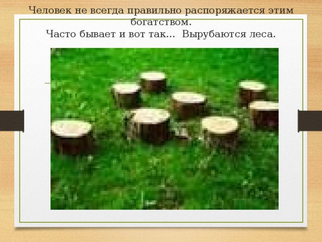 Человек не всегда правильно распоряжается этим богатством.  Часто бывает и вот так… Вырубаются леса.  