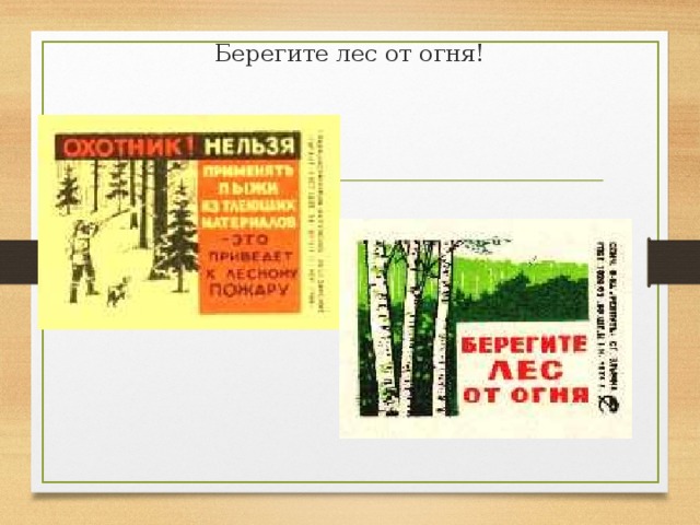 Берегите лес от огня! 