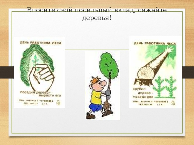 Вносите свой посильный вклад, сажайте деревья! 