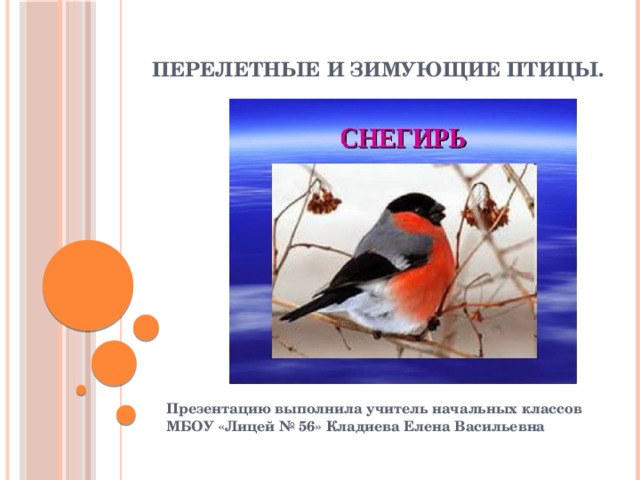 Презентация на тему: Перелетные и зимующие птицы.