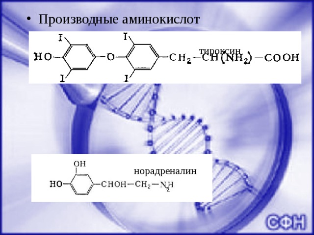 Производные аминокислот тироксин норадреналин 