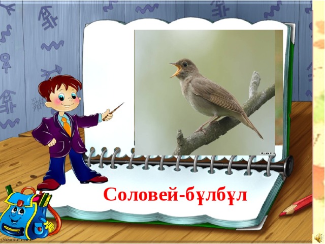 Соловей-бұлбұл