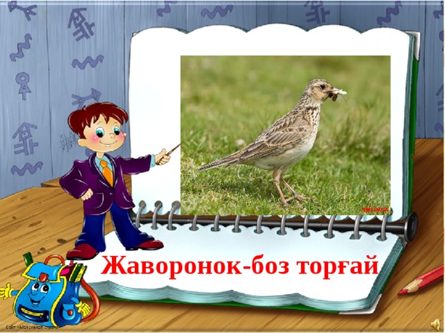 Жаворонок-боз торғай