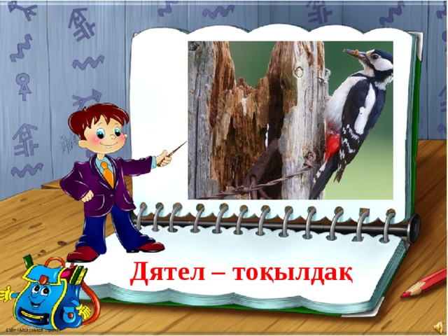 Дятел – тоқылдақ