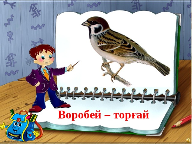 Воробей – торғай