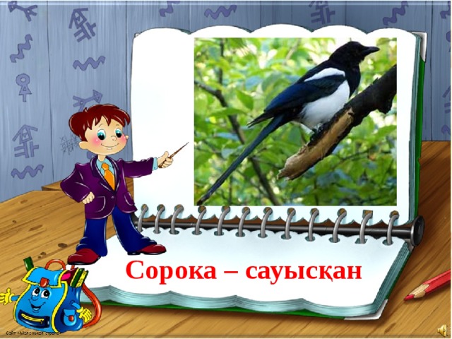 Сорока – сауысқан